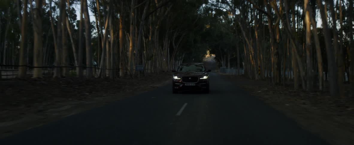 A car swerves between lanes on a road in the country