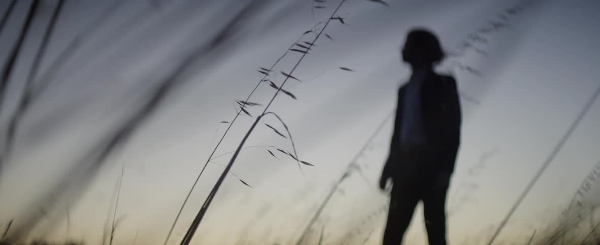 Young man stands in a field
