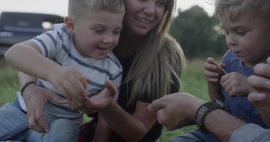 A family of four sits in a grassy field with their two male sons playing with blades of grass