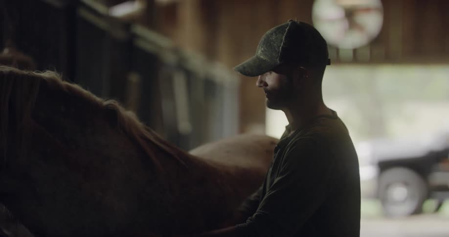 A man brushes a horse
