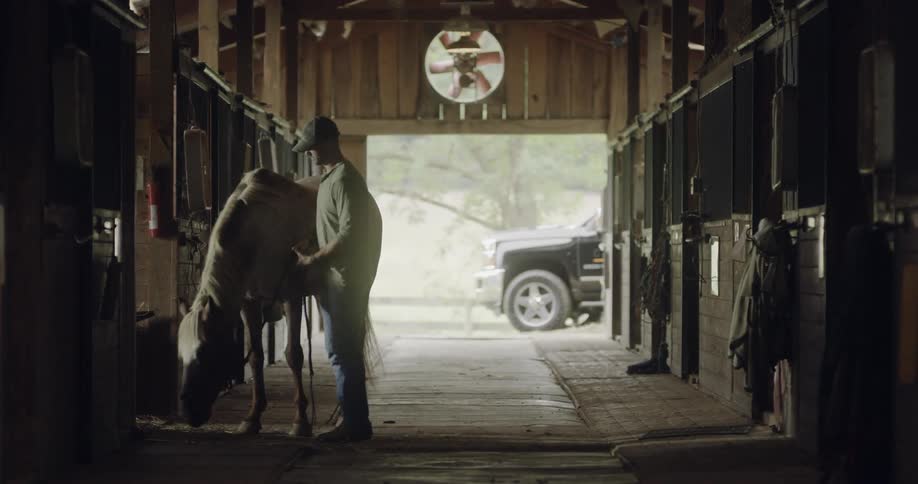 A man grooms a horse in a barn