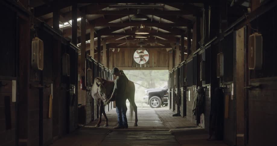 A man is feeding a horse from his hand