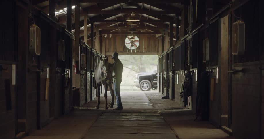 A man feeds his horse some hay in a stable