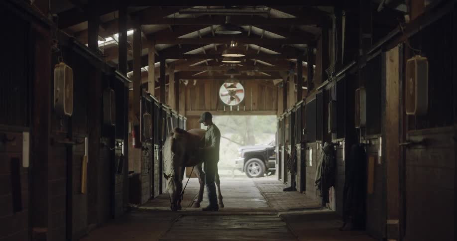 A man is brushing a horse in a barn