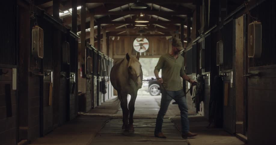 A man walks a horse into the stable