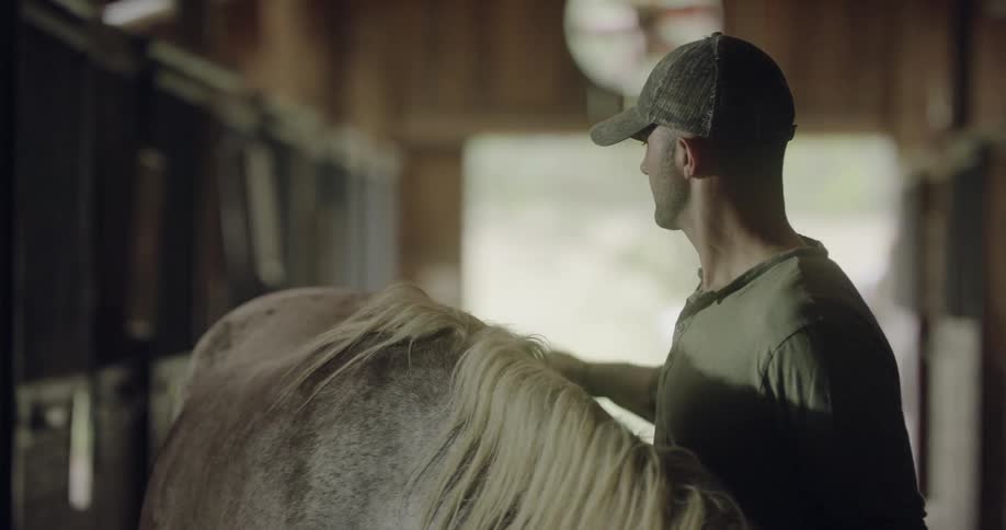 Man brushing a horse inside a barn