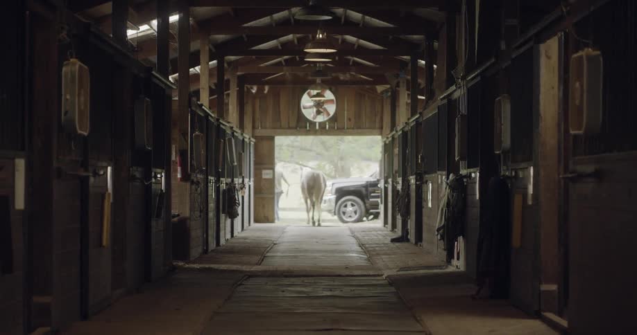 Man walks horse out of stables