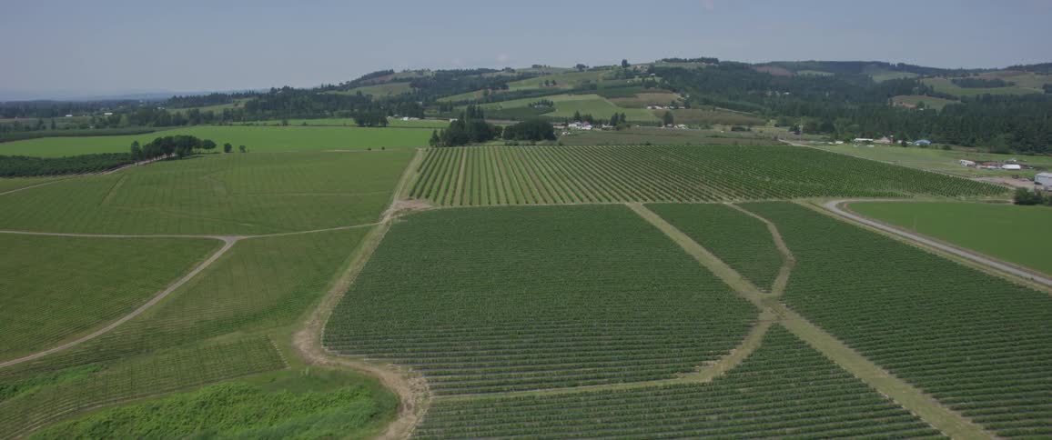 A field in the country