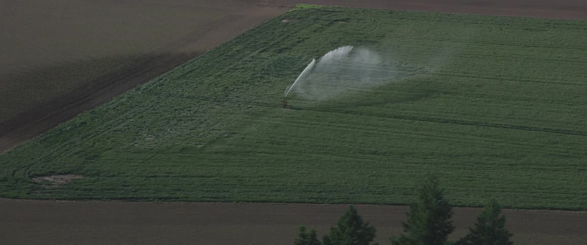 Watering a field