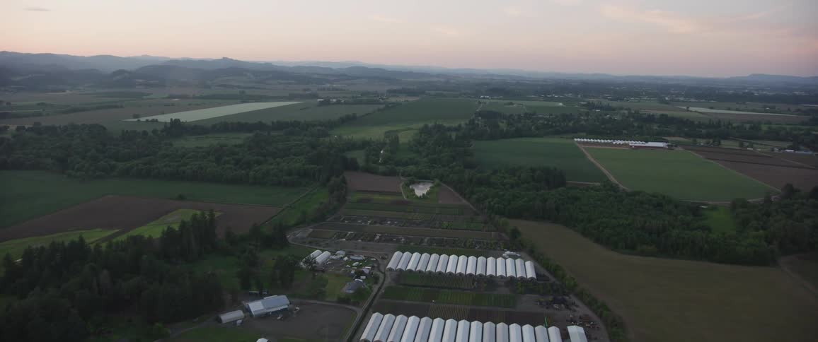 An aerial view of rural fields at sunset