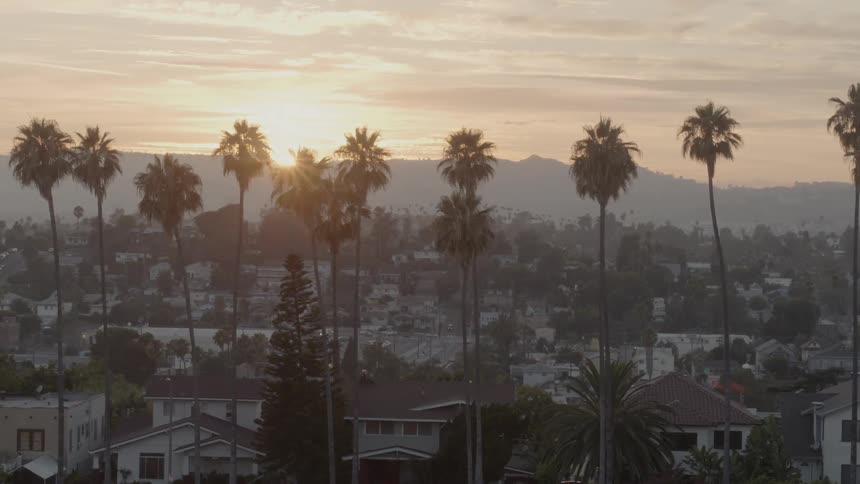 The camera overlooks a city and palm trees stick into the air