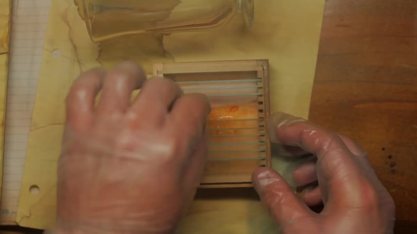 A person wearing gloves working in a lab