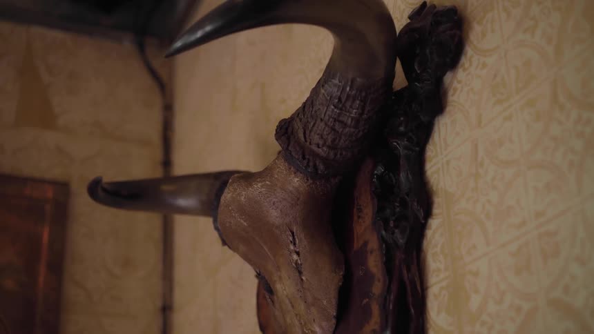 A replica animal head on a wall