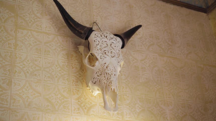 An animal skull covered in a lace doily hangs on a wall