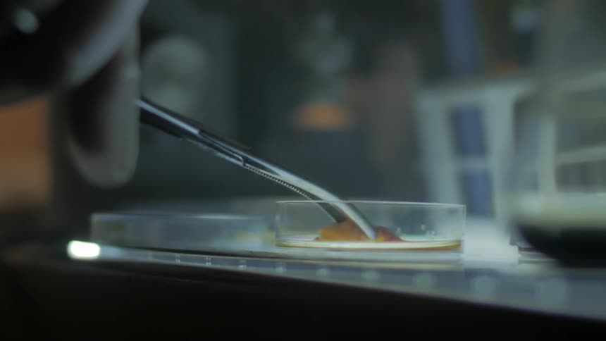 A person working in a lab