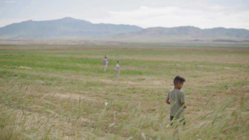 Kids are playing and running in a large field of grass