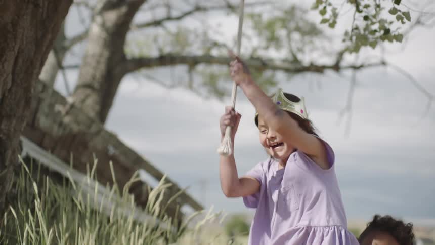 Kids playing with a rope hanging on a tree on a field