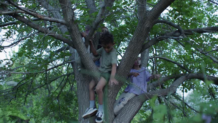 Four kids sit up in a tree