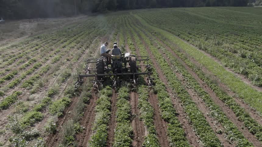 Farmer tending a field on a tractor