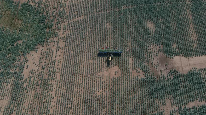 A tilling machine being pulled behind a tractor on a large field