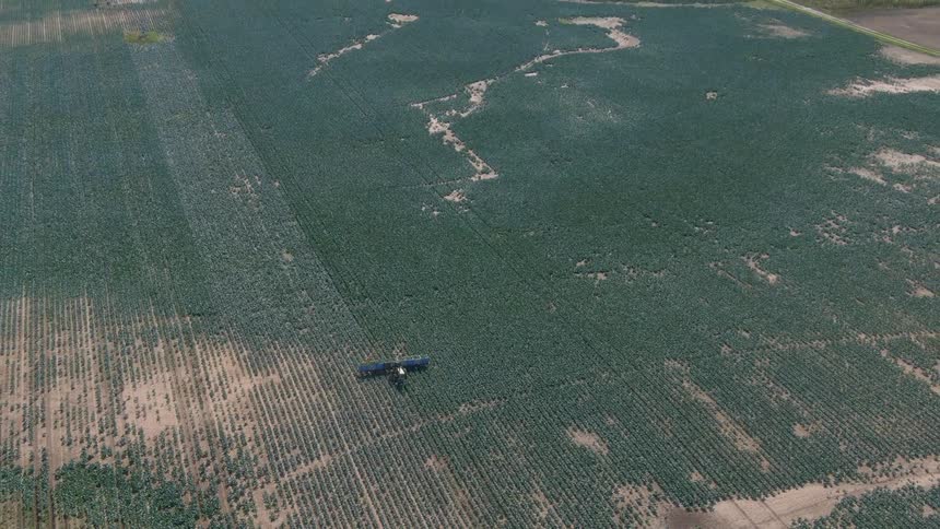 A tractor in a field harvesting crops