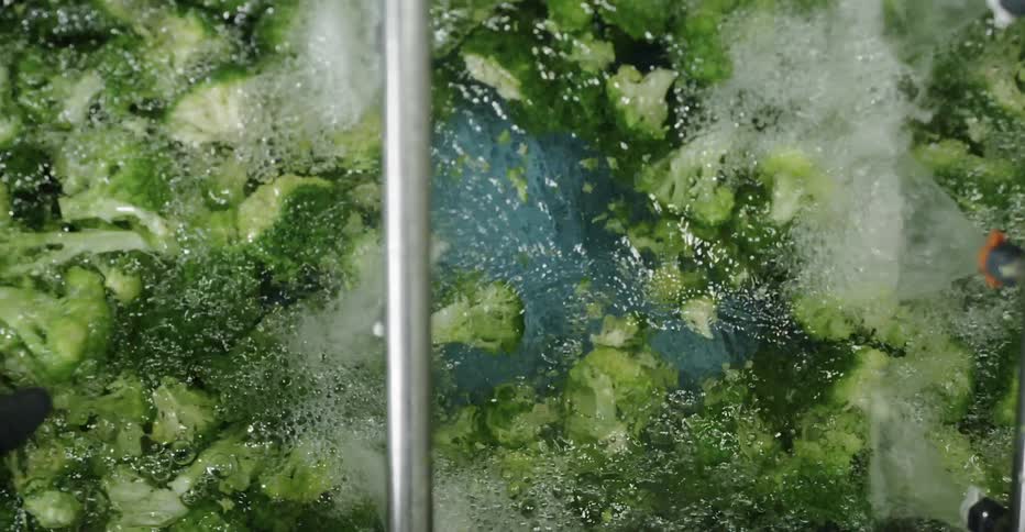 A person grabbing broccoli in a tank of water