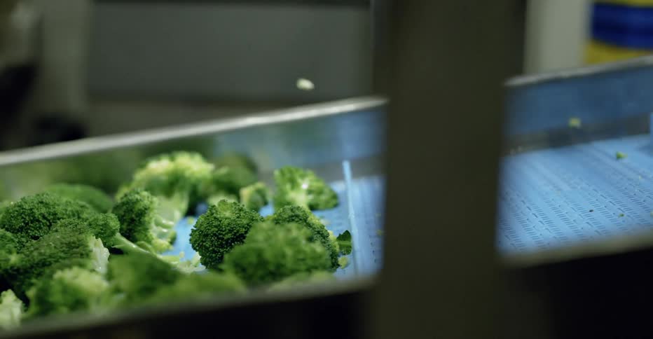 Converter of broccoli