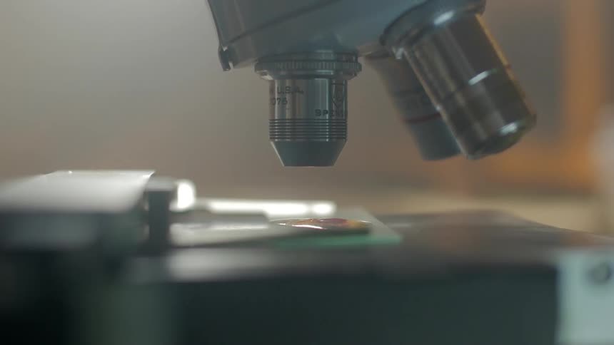 A microscope lowers towards a glass slide and specimen
