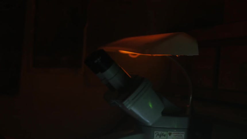 A desk lamp flashes on and off behind a microscope