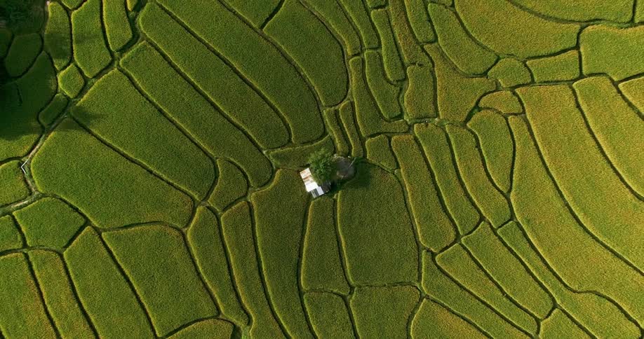 A small house sits in the middle of a large field