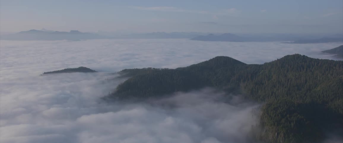 Clouds and fog surround forested mountain