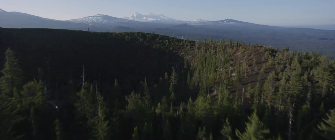 Forest covers valley and mountain