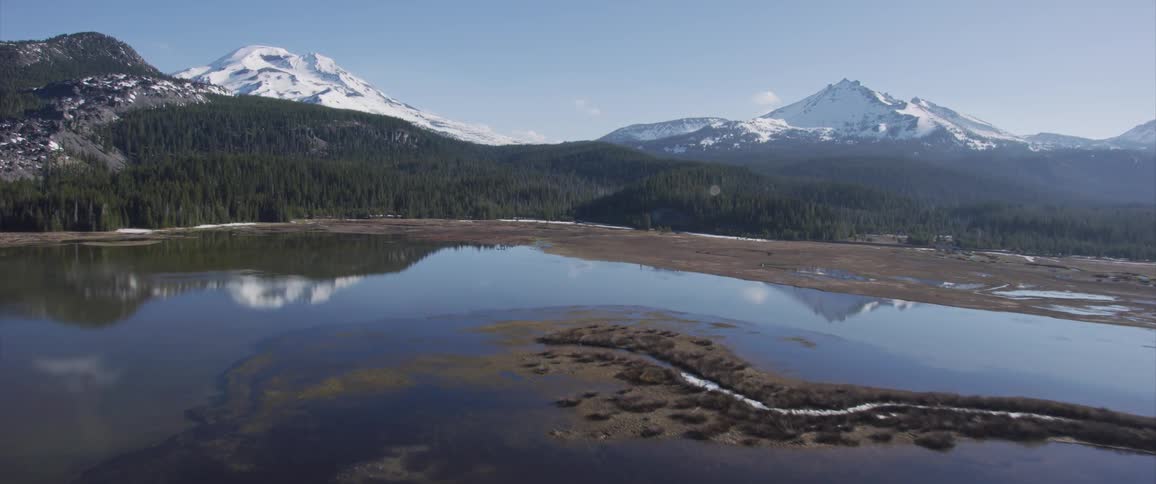 A swampy bog gives way to a forest