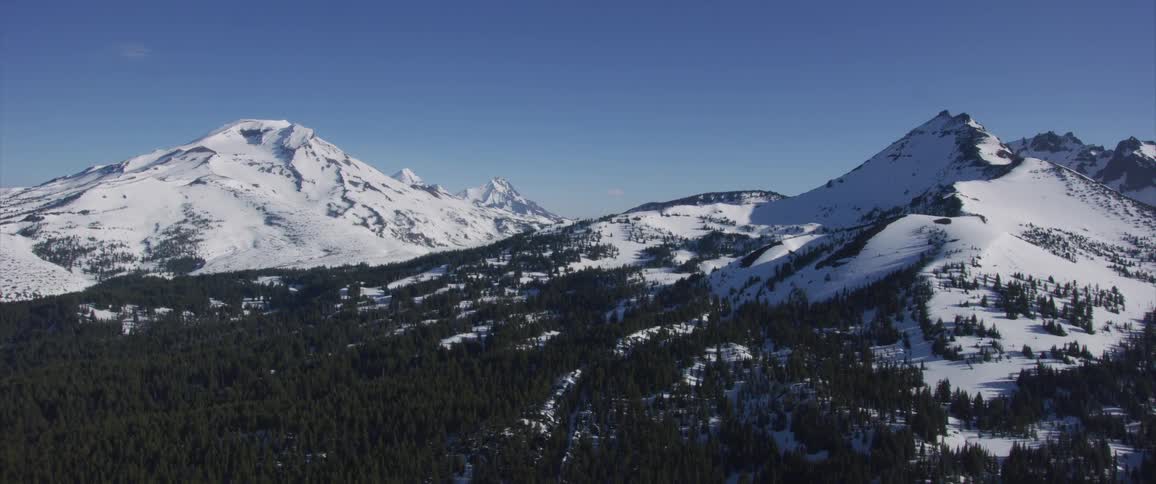 Snow covered mountains rise above a fir forest