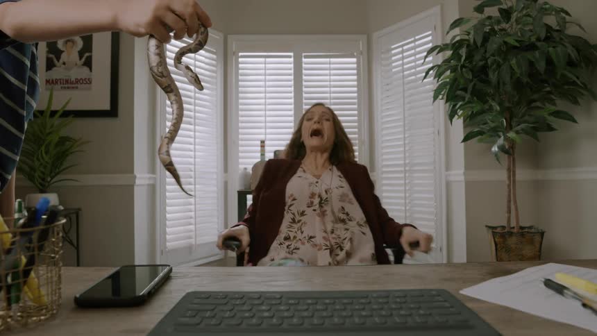 A snake is put in front of a woman doing a zoom call. She falls over in her chair, revealing pajama bottoms.