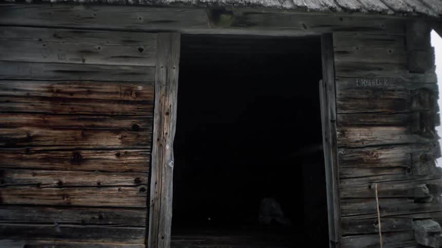 An old shack that is located in a field