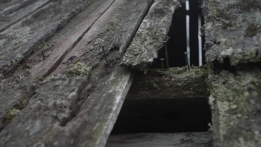 Nails stick out of rotting wood from a building