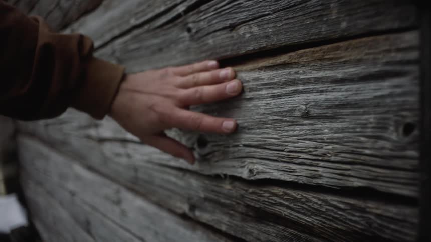 A person running their hand along a log cabin