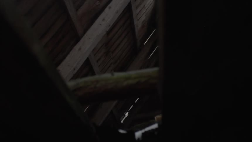 Daylight is visible through the wooden planks of a peaked roof and snow sits on the floorboards