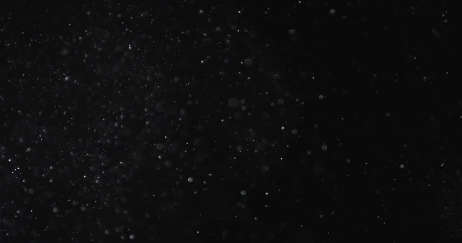 Snowflakes swirling in front of a black background