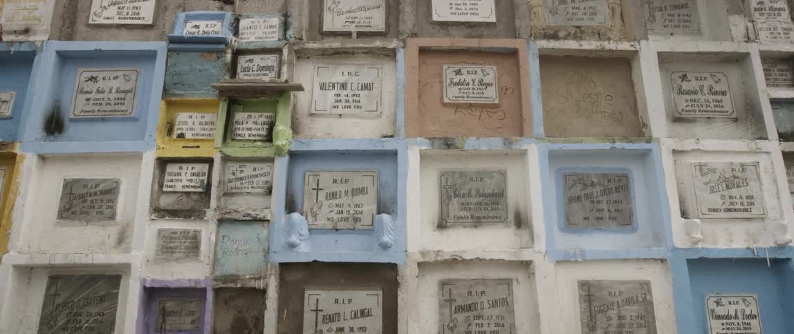 A large wall of headstones in colored boxes
