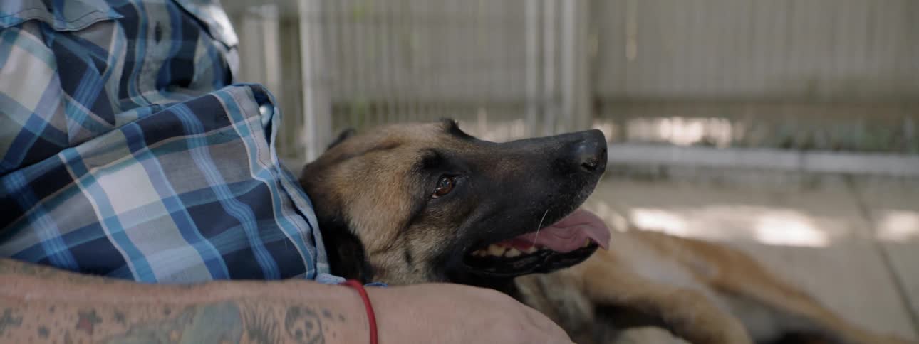 A man is petting his dog in the yard
