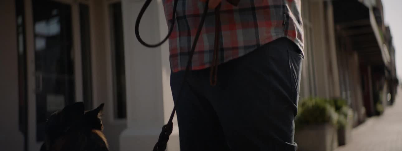 A man holds a dog on a leash