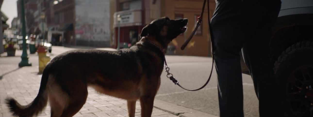 Man gets his dog out of an suv to walk the main street in a small town