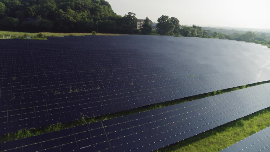 The solar farm is full of dark panels in the sun