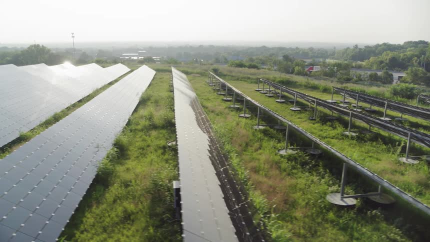 The solar panels in the farm are pointed towards the sun
