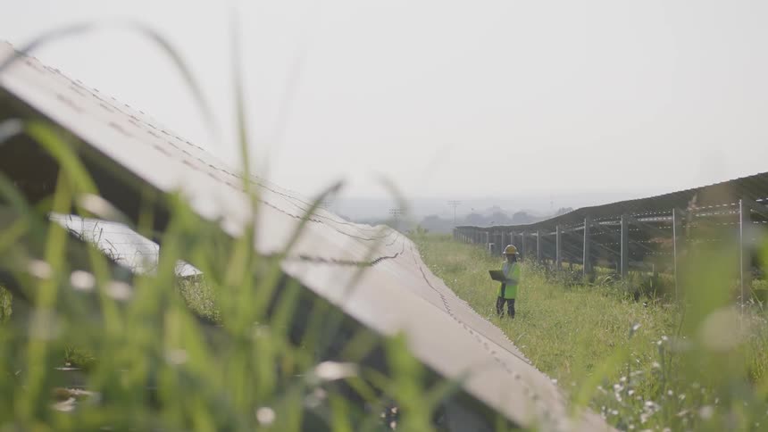 Inspector inspecting solar panels in a field in the country