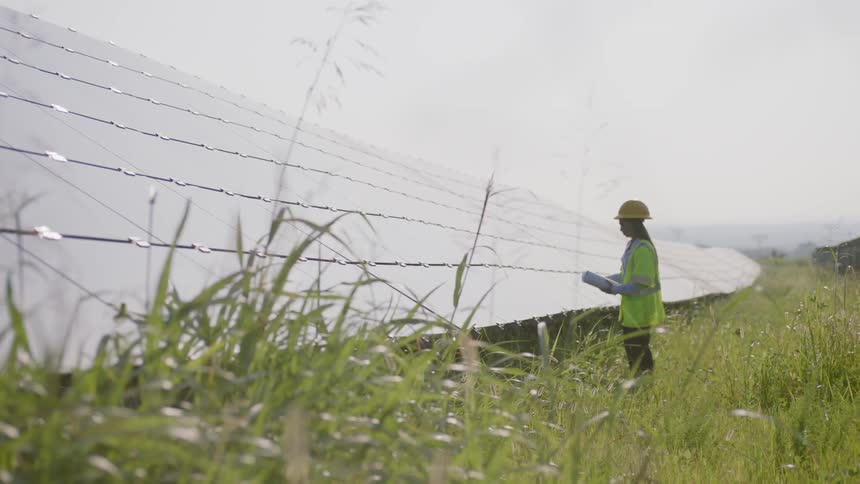 A man inspecting solar panels in a field