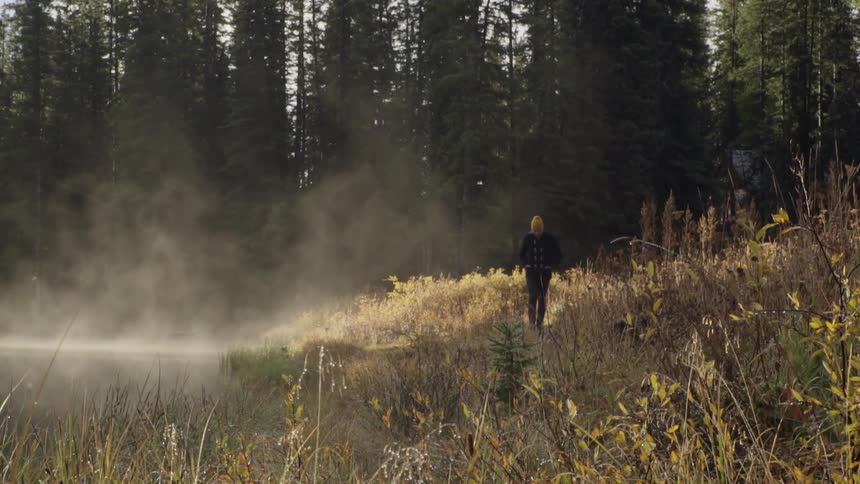 Fog and mist rises as a man walks along a forest trail