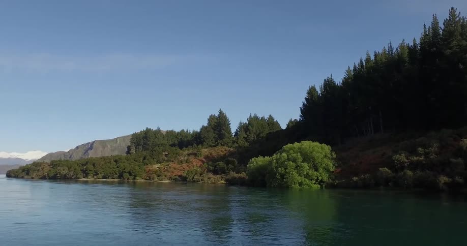 Trees line a river in the wilderness